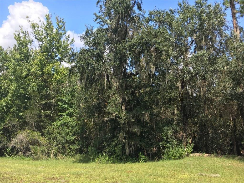 41025 E 20th Pl, Myakka City, FL 34251