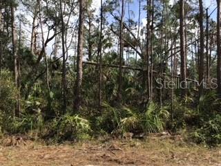 Ripley St, North Port, FL 34286