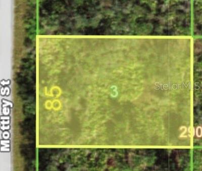 1468 Mottley St, Port Charlotte, FL 33953