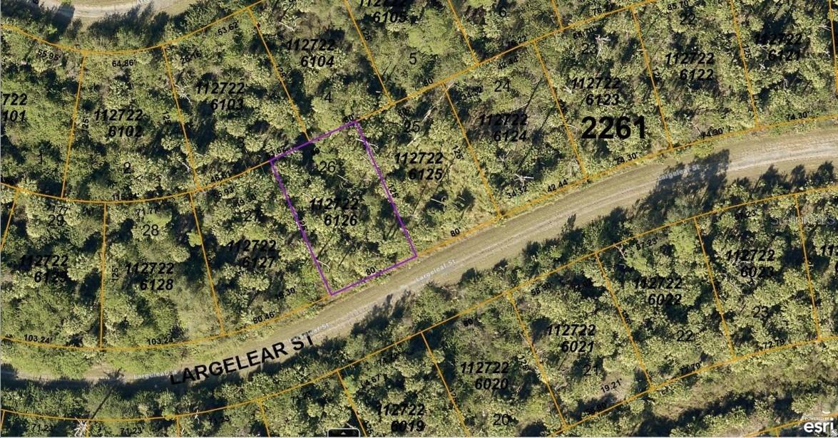1127226126 Largeleaf St, North Port, FL 34288