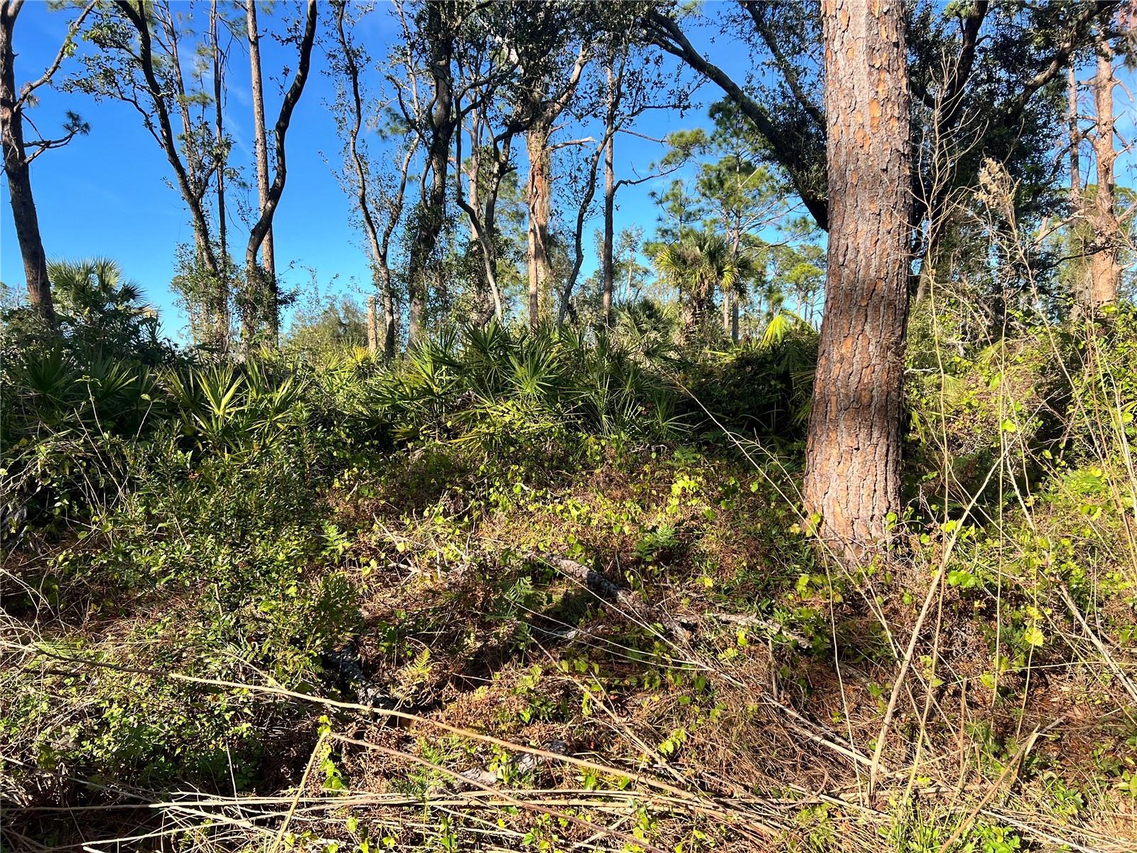 Lot 5 Gravelmann Rd #Lot 5, North Port, FL 34291