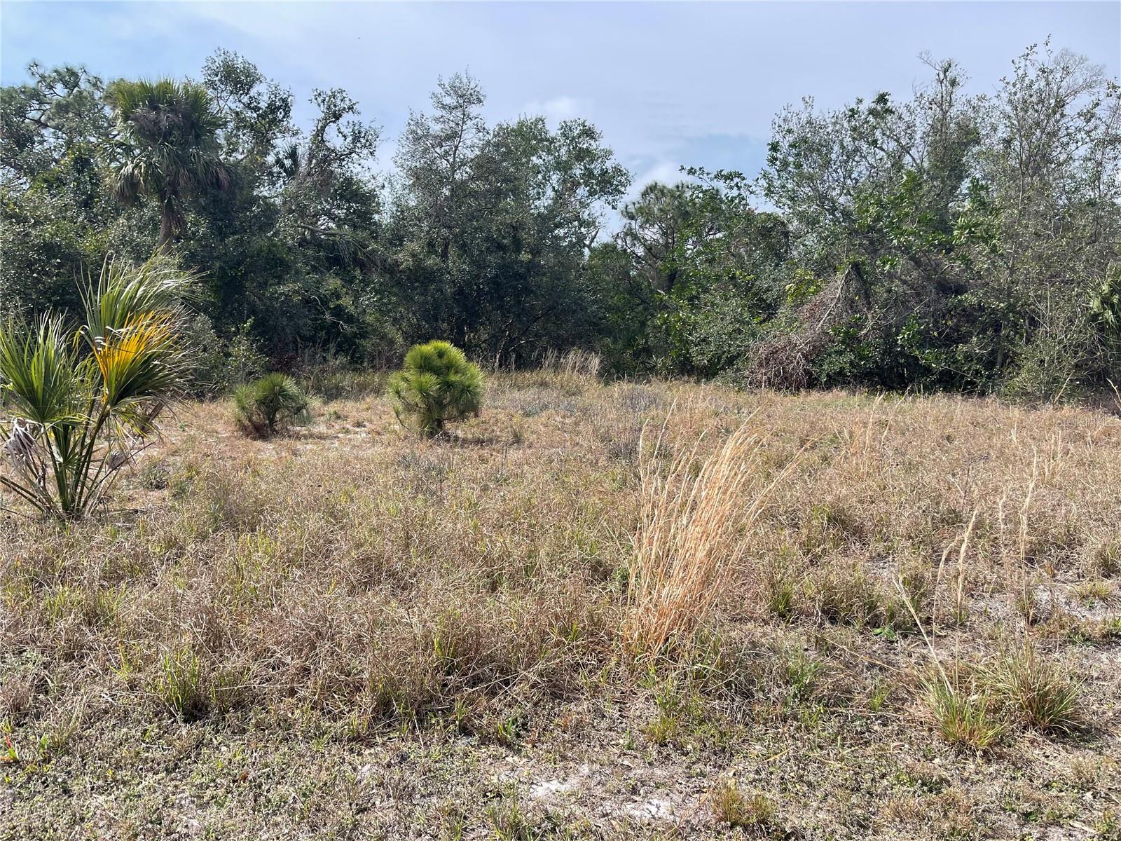Mission Valley Blvd, Nokomis, FL 34275