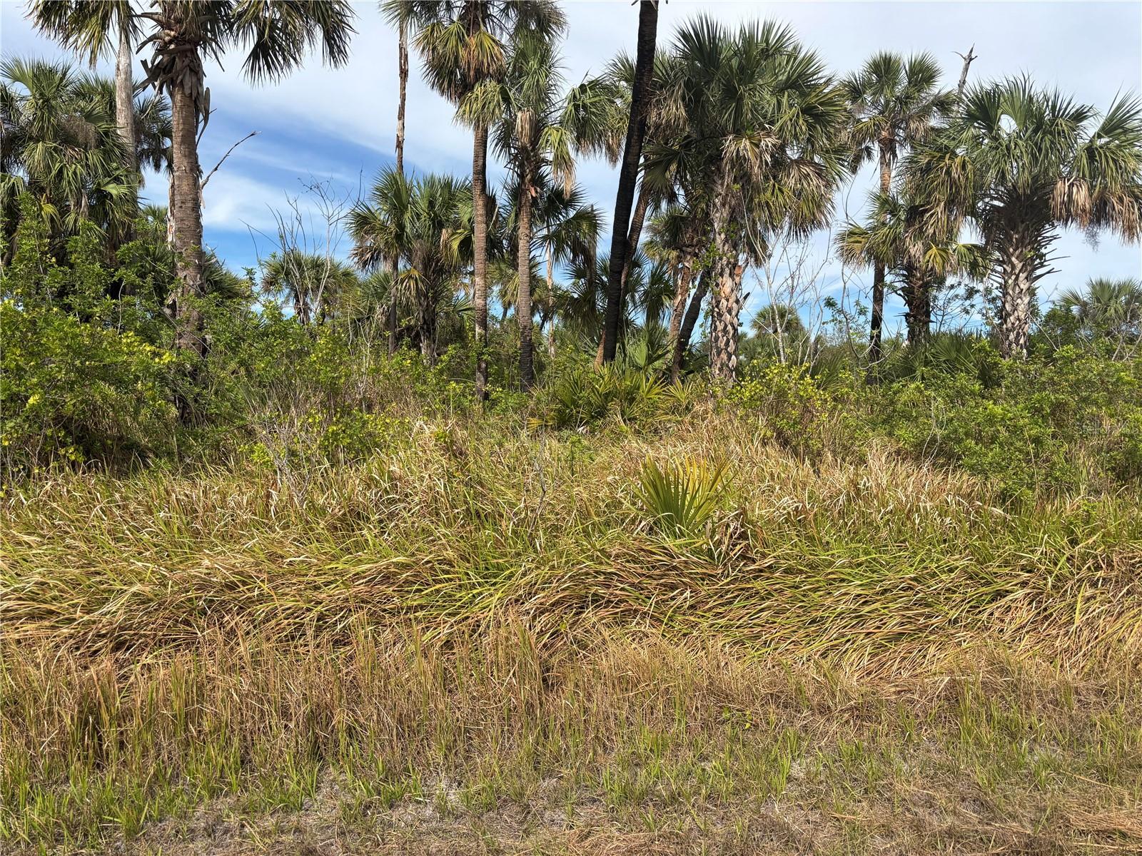 Largeleaf St, North Port, FL 34288