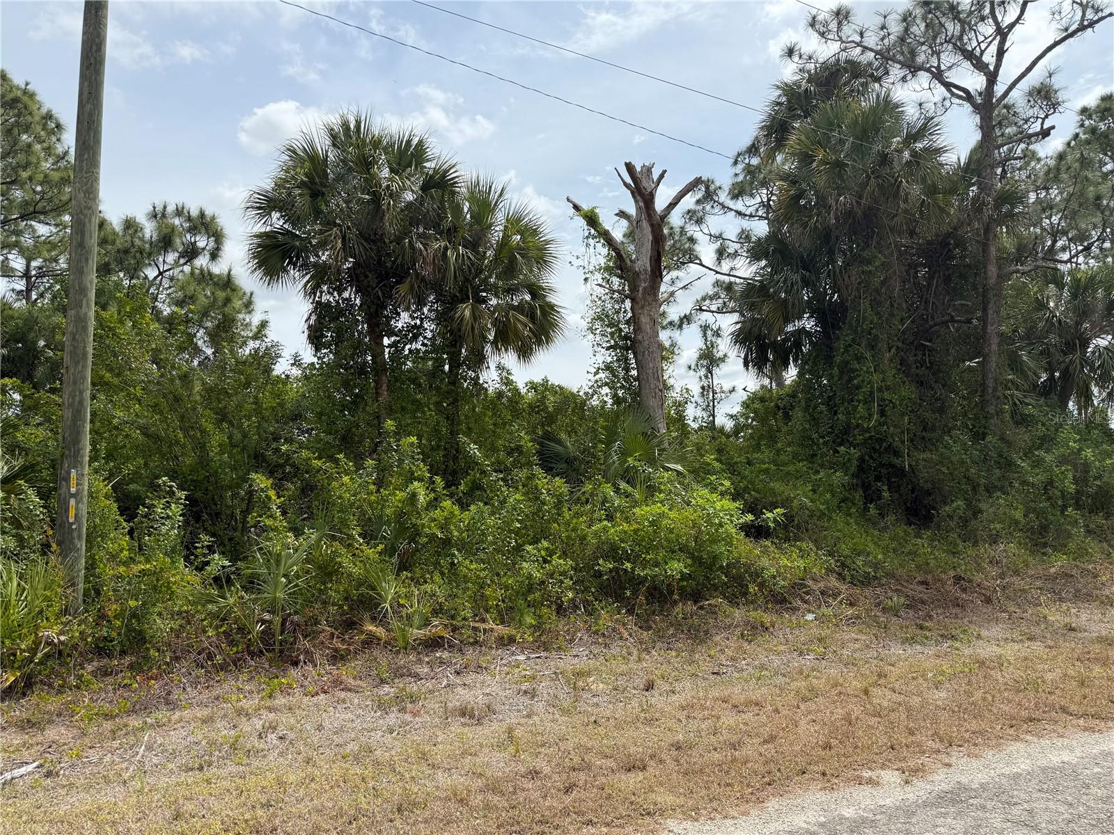 557 Naples Ave S, Lehigh Acres, FL 33974