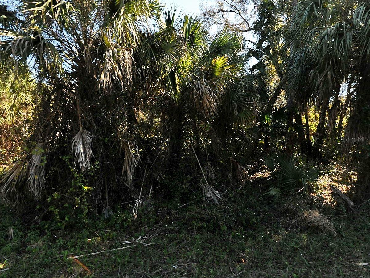 Russellville St, North Port, FL 34288