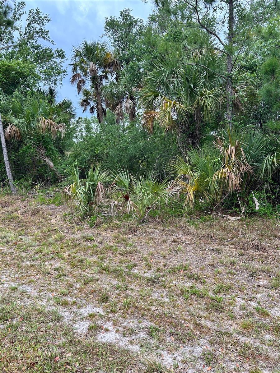 361 & 369 Juper St, Port Charlotte, FL 33953