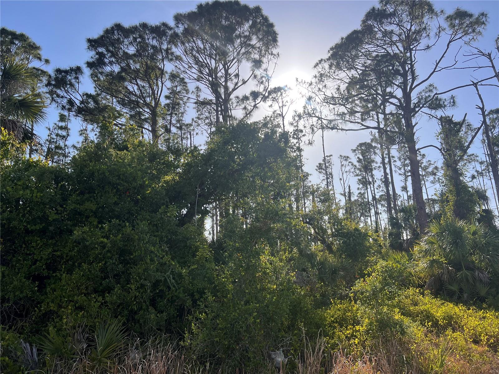 Rufus Rd, North Port, FL 34288