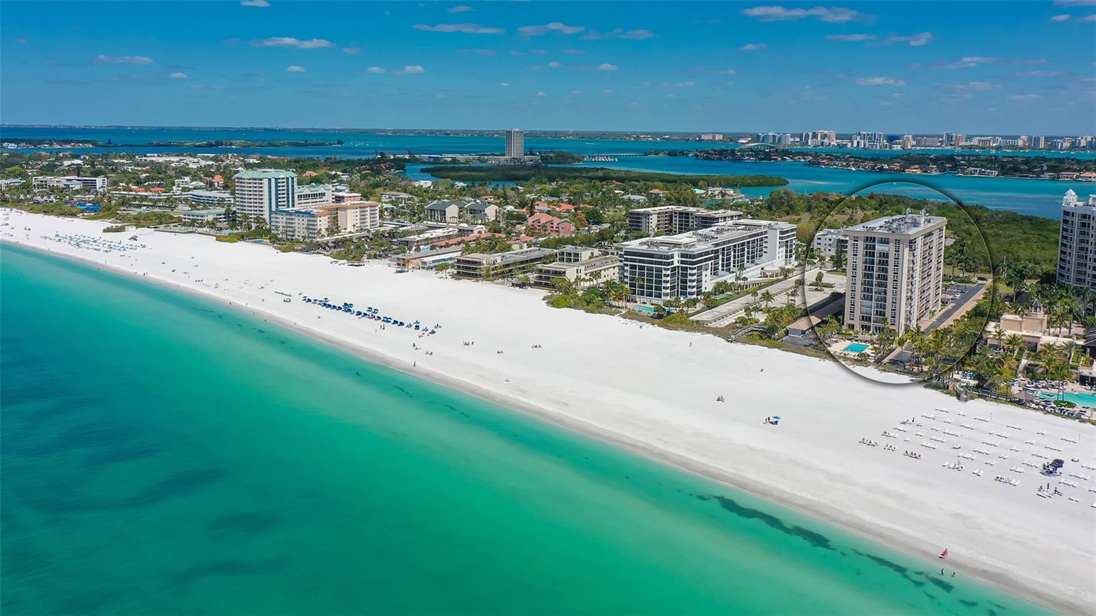 1212 Benjamin Franklin Dr #503, Sarasota, FL 34236