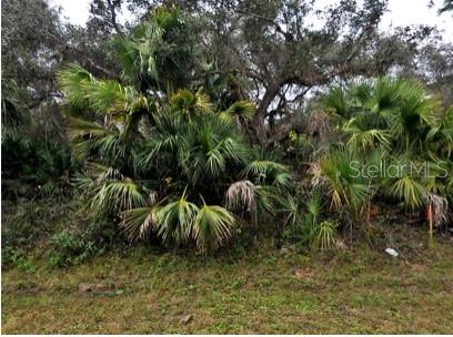 Babroff Ter, North Port, FL 34291