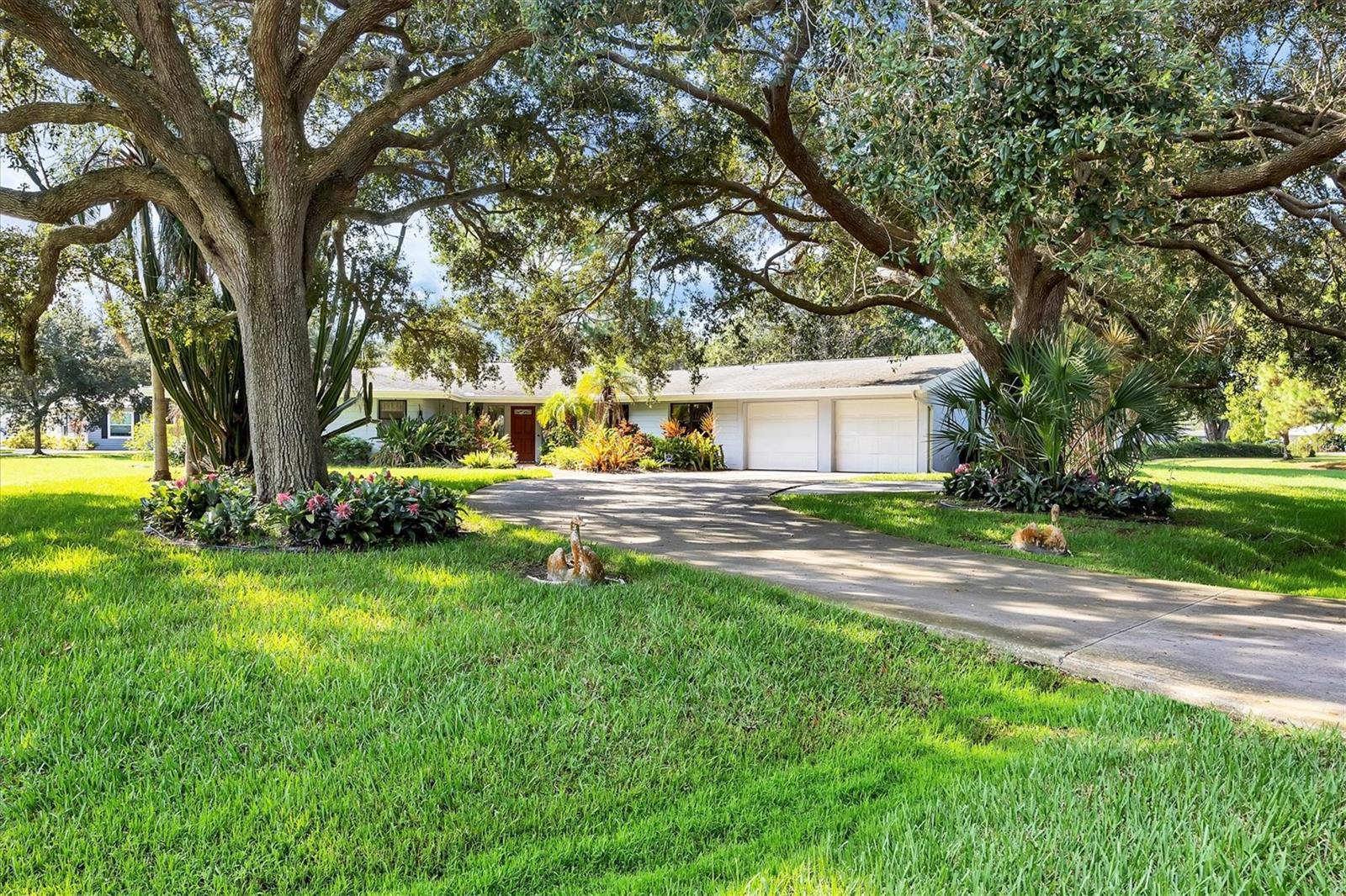 3010 E Forest Lake Dr, Sarasota, FL 34232