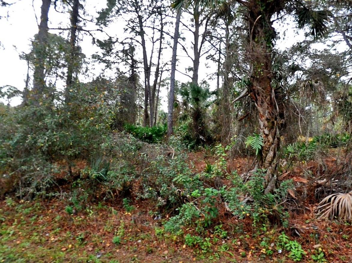 Lady Slipper Ave., North Port, FL 34291