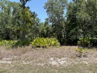 Gaskins Cir, North Port, FL 34288