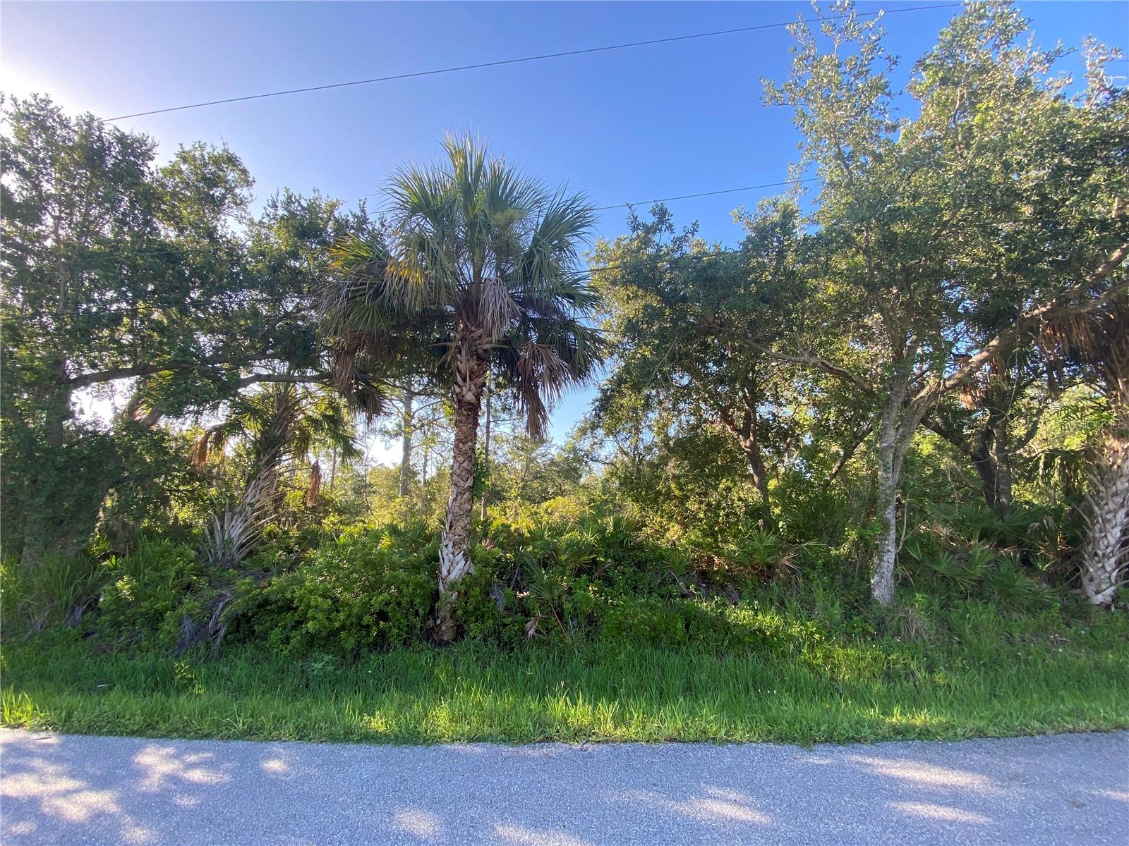 Lot 5 & 6 De Herreda Dr, North Port, FL 34287