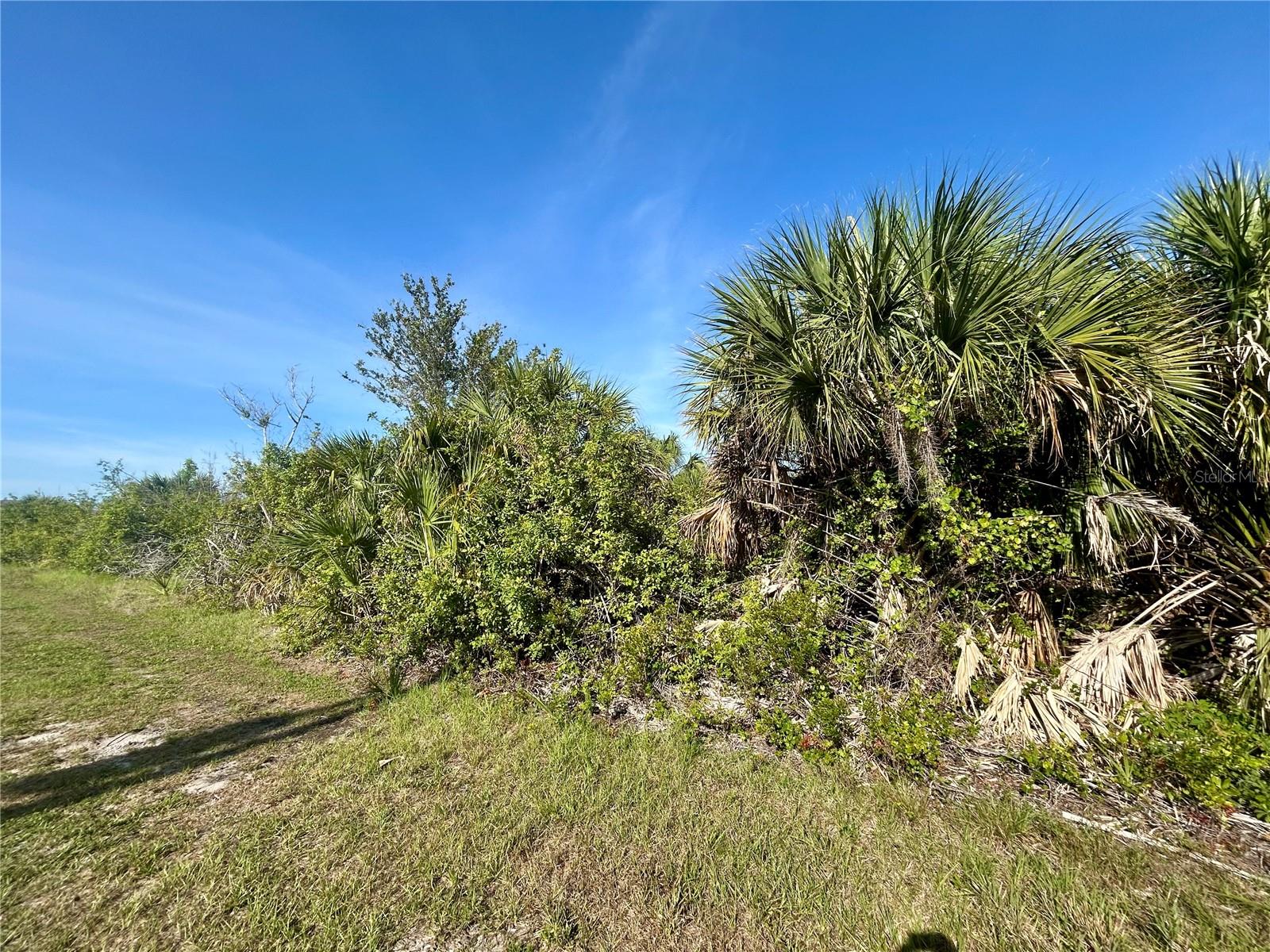 10047 Alvarez St, Port Charlotte, FL 33981