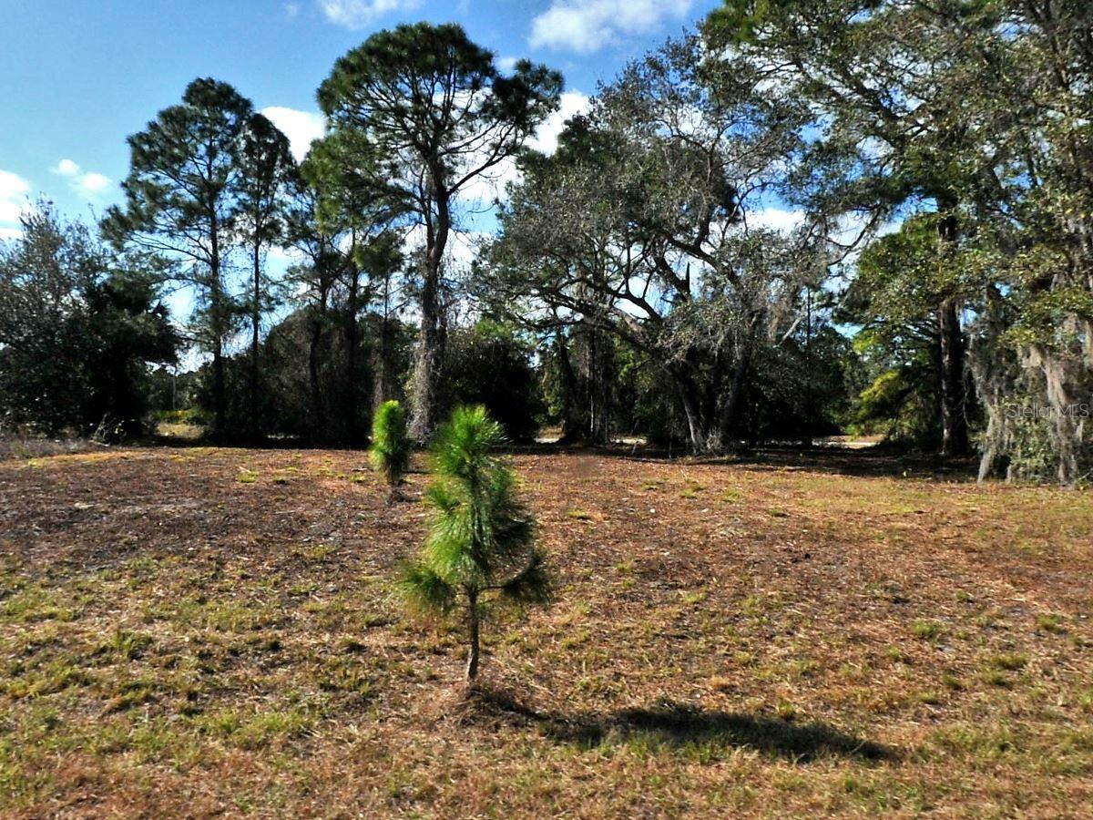 Longfellow Ln, North Port, FL 34288
