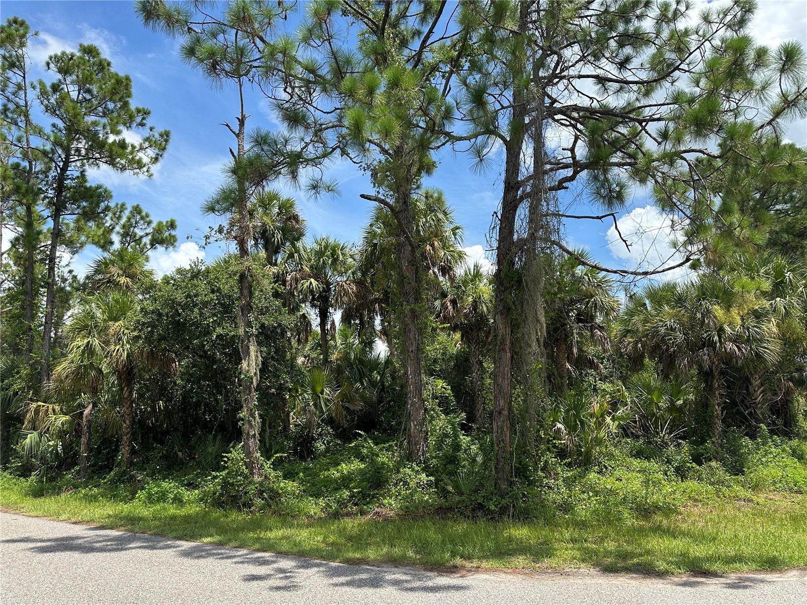 Nadell Rd, North Port, FL 34288
