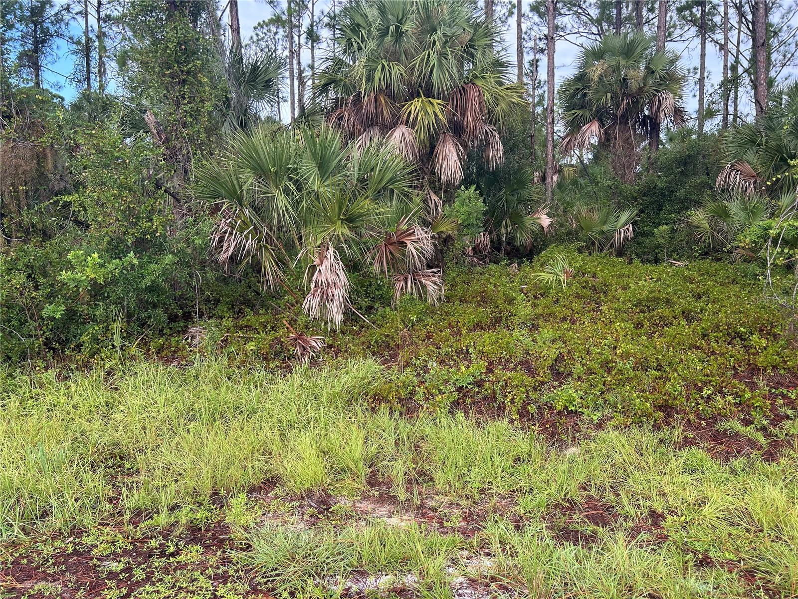 Dennis St, North Port, FL 34286