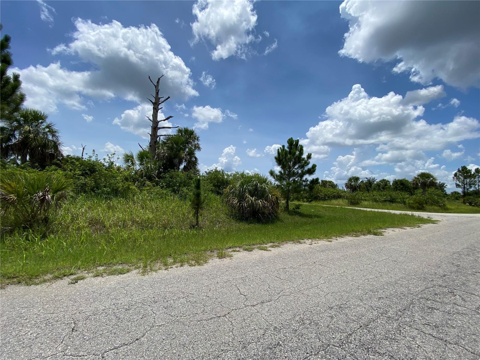 Blueleaf Dr, North Port, FL 34288
