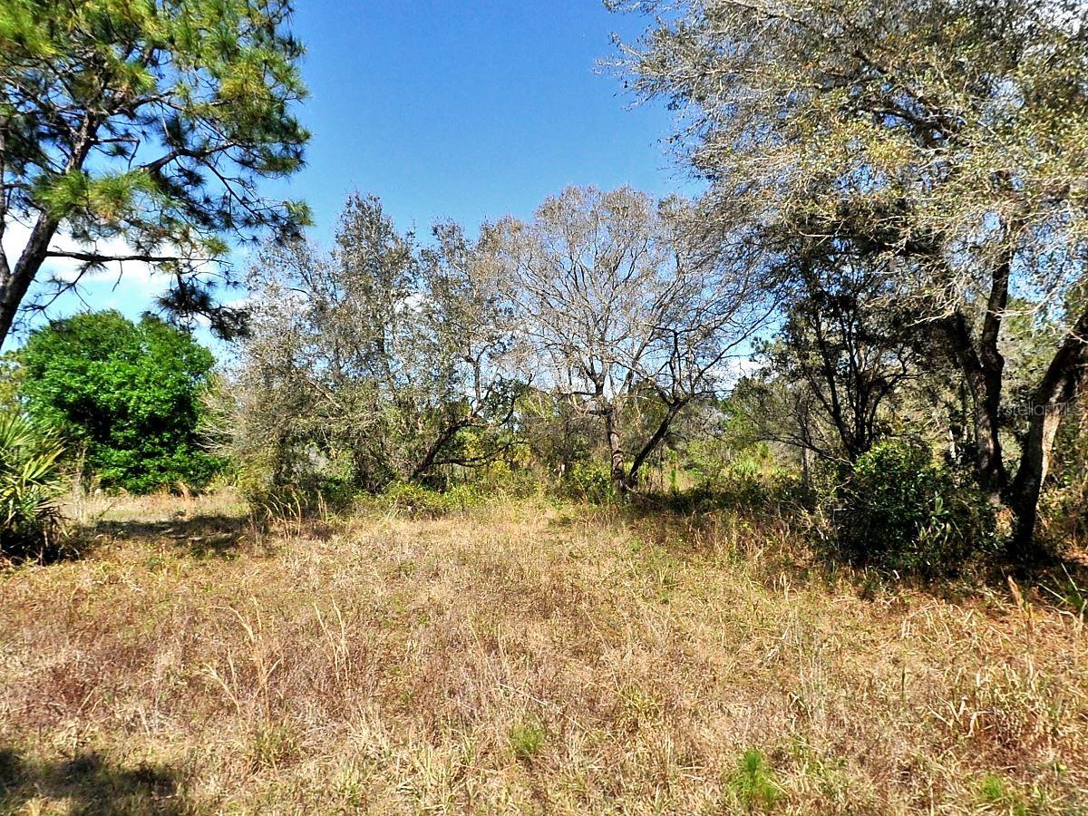 Nocturn St, North Port, FL 34288