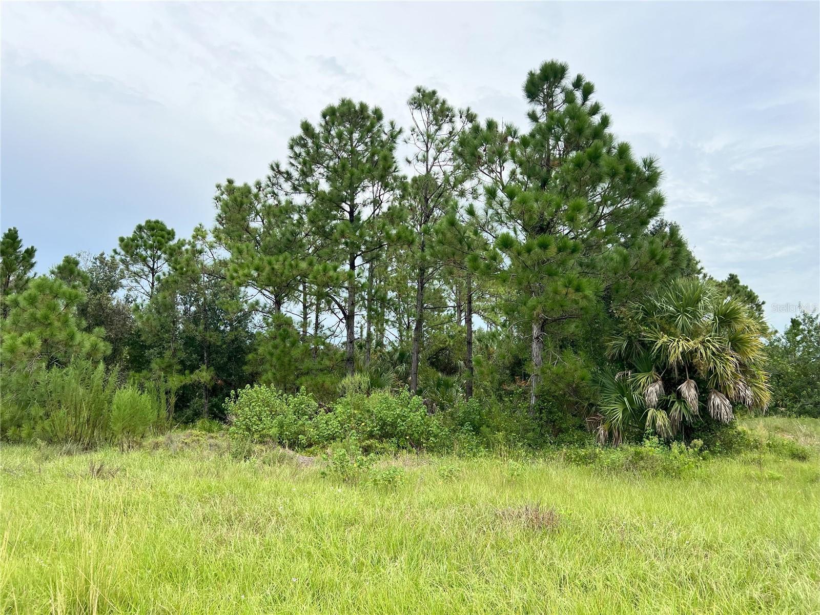 Blackwood Cir, North Port, FL 34288