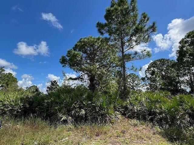 1253 Barnet Ave, Fort Myers, FL 33913