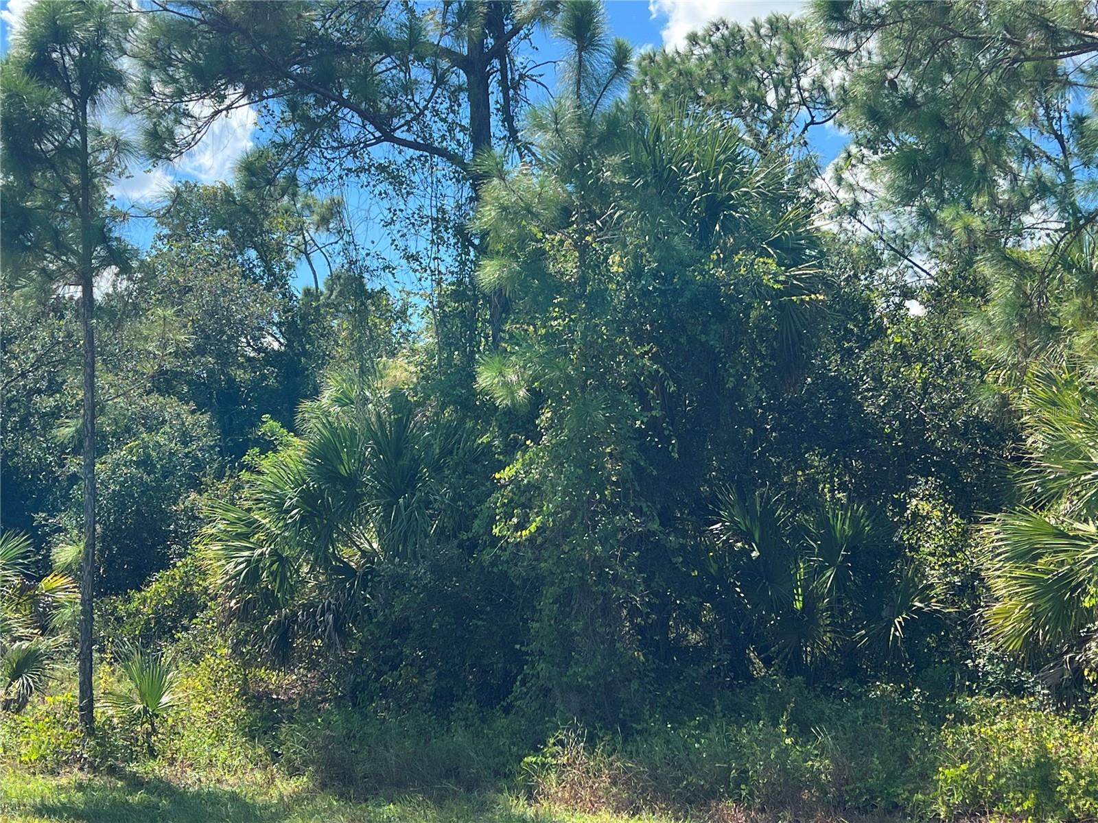 299 Troutdale St, Port Charlotte, FL 33954
