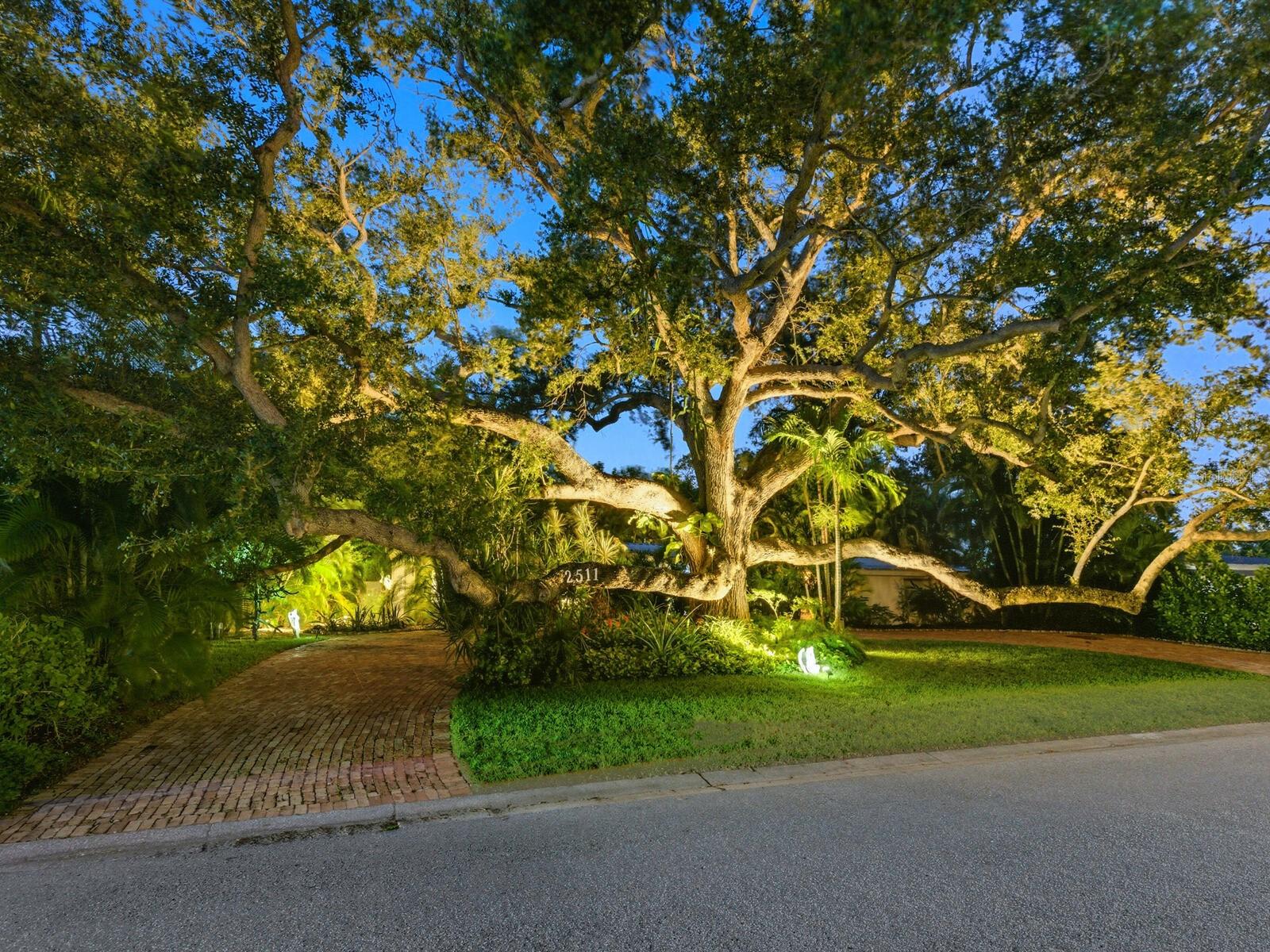 2511 Goldenrod St, Sarasota, FL 34239