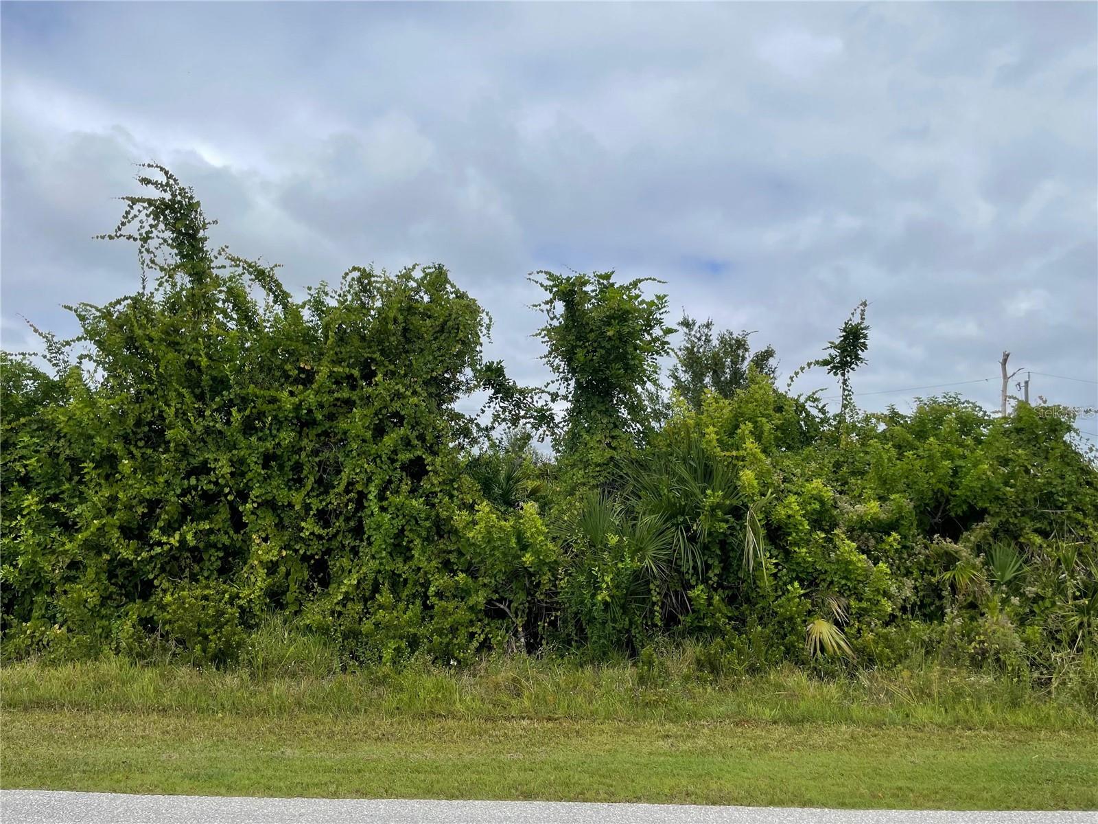 11216 Carnegie Ave, Englewood, FL 34224