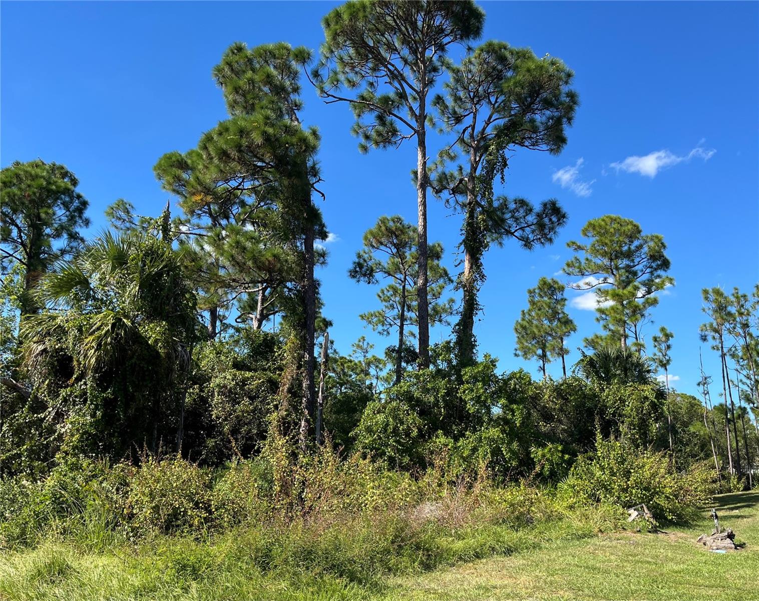 23436 Steeple Ave, Port Charlotte, FL 33980