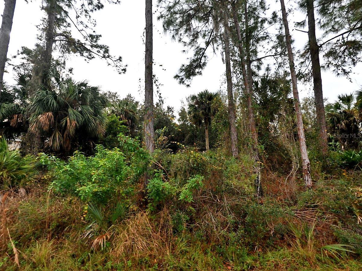 Cissus Ave, North Port, FL 34288