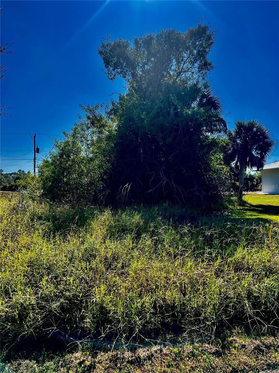 10245 Winstead Ave, Englewood, FL 34224