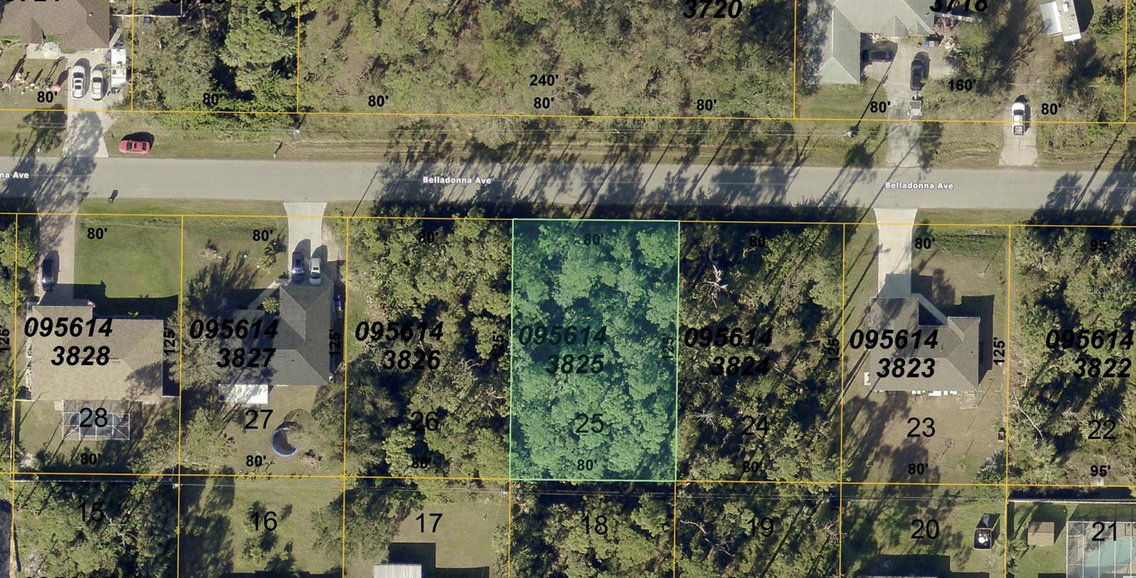 Belladonna Ave, North Port, FL 34286