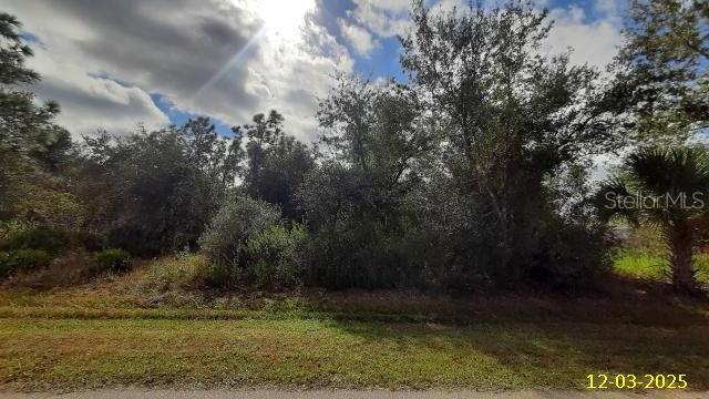 29371 Pontico St, Punta Gorda, FL 33982