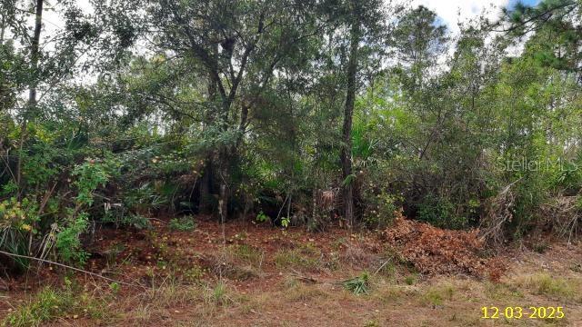 23475 Moses Ct, Punta Gorda, FL 33980