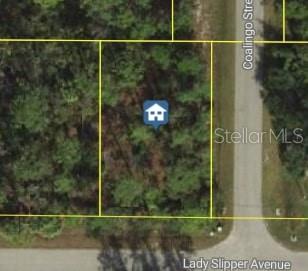 Lady Slipper Ave, North Port, FL 34291