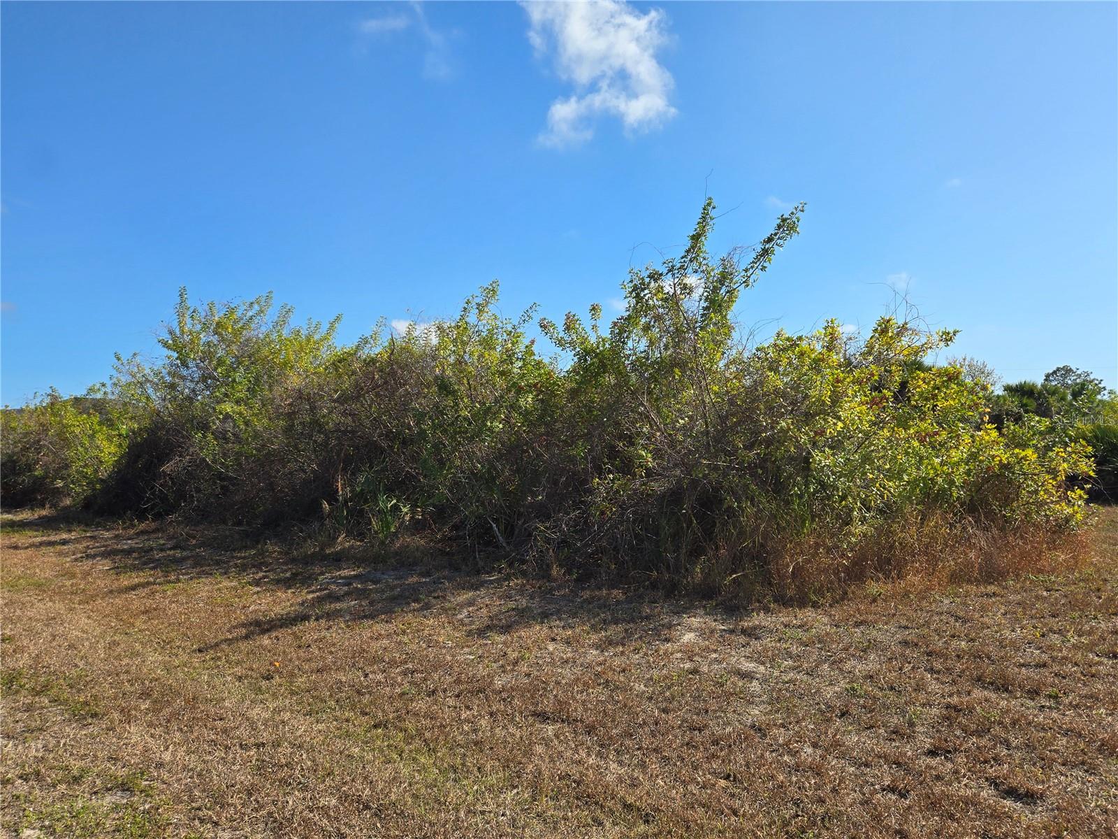 277 Baytree Dr, Rotonda West, FL 33947