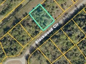 Blackwood Cir, North Port, FL 34288