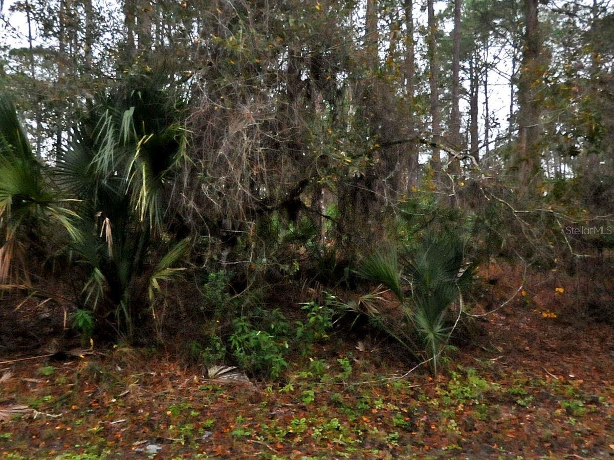 Neon Ave, North Port, FL 34291