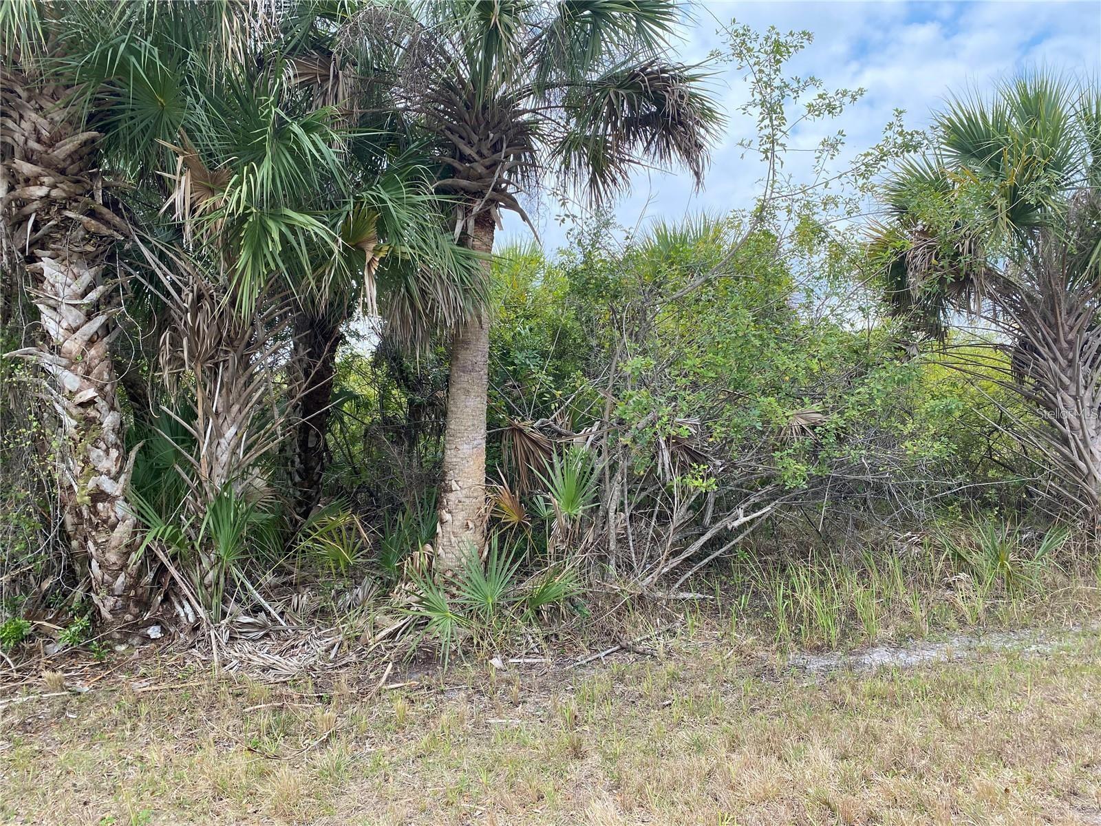 19225 Sherbrooke Ave, Port Charlotte, FL 33954