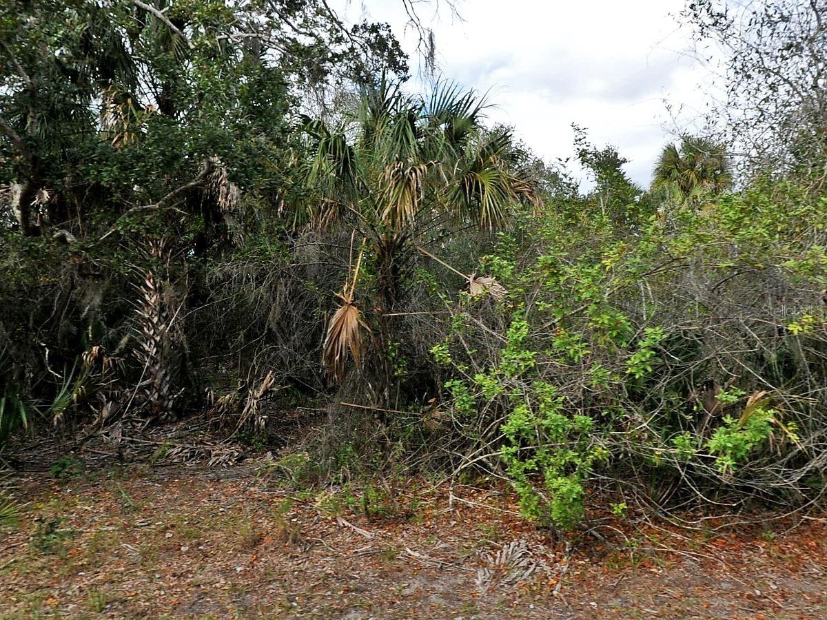 Alfa Ter, North Port, FL 34286