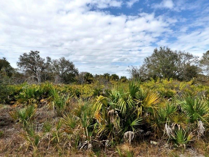 Wylam Dr, North Port, FL 34288