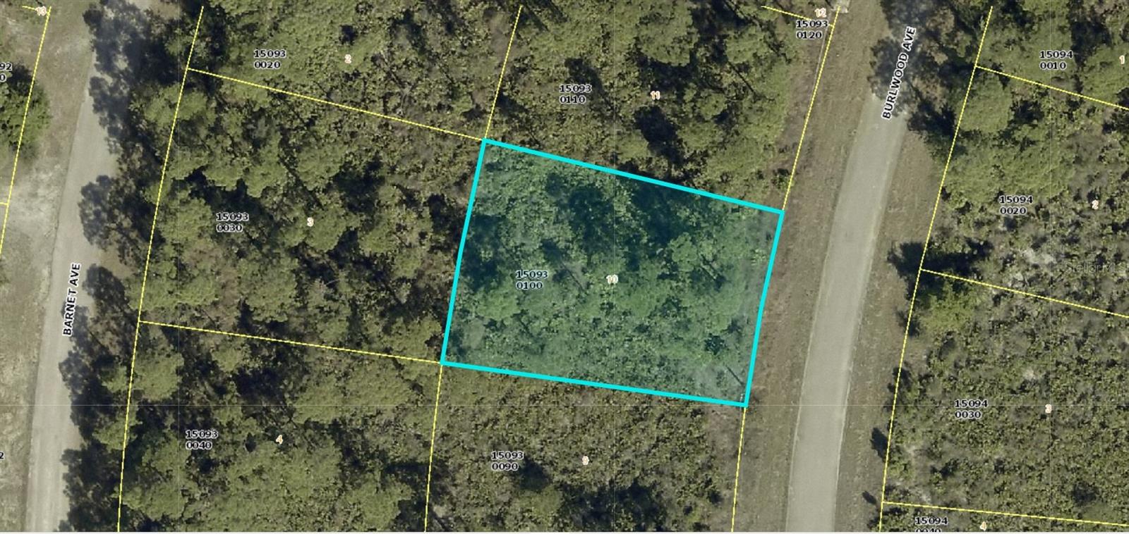1254 Burlwood Ave, Fort Myers, FL 33913