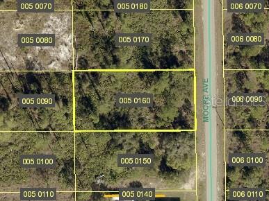 807 Moore Ave, Lehigh Acres, FL 33972