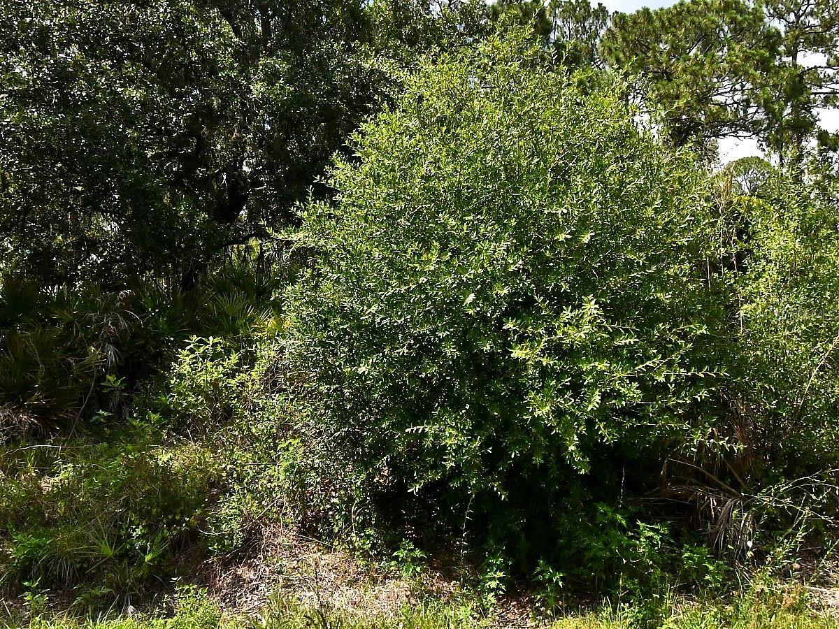 Lot 16 Rentscher Ave, North Port, FL 34291