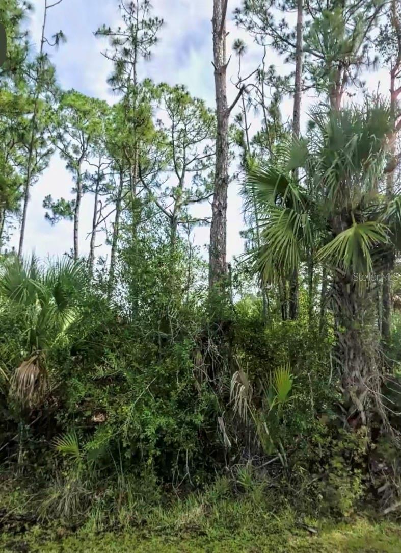 Lot 17 Donatello Ave, North Port, FL 34286