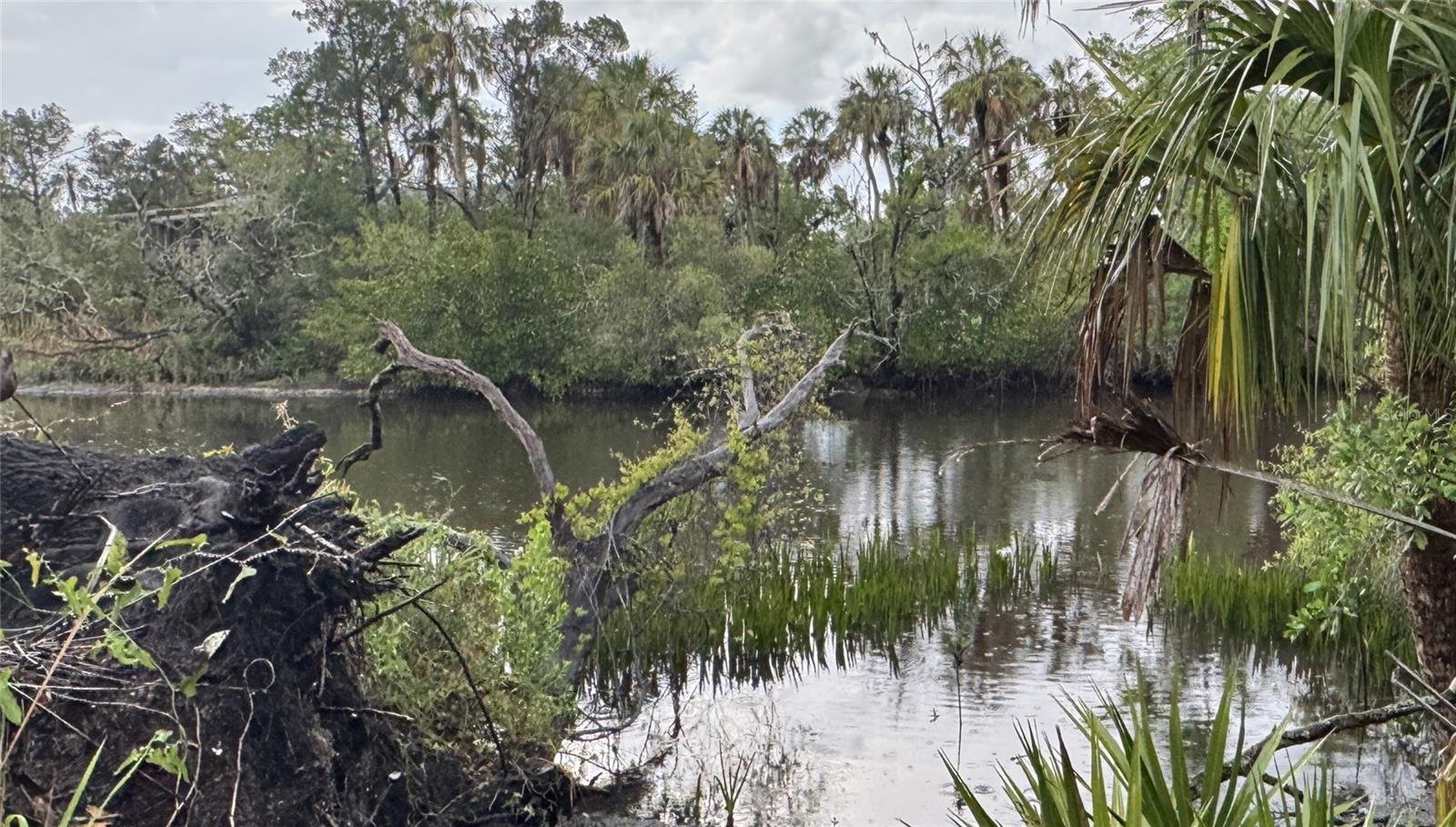 12817 Upper Manatee River Rd, Bradenton, FL 34212