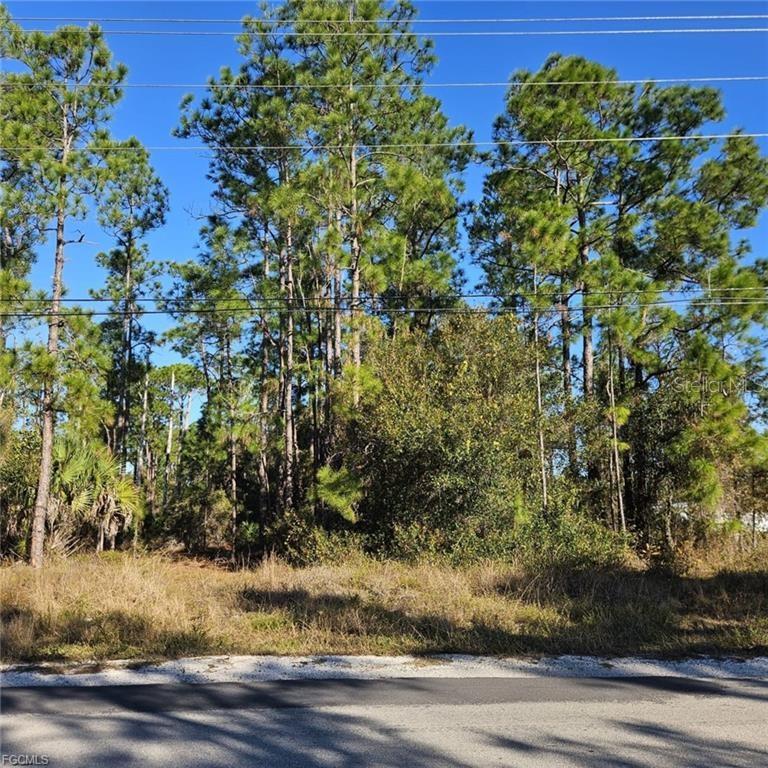 3903 E 10th St, Lehigh Acres, FL 33972