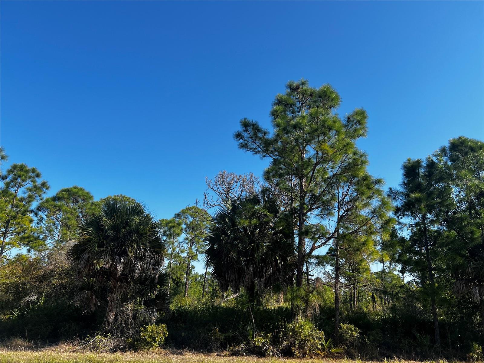 13526 Suribachi Ave, Port Charlotte, FL 33953