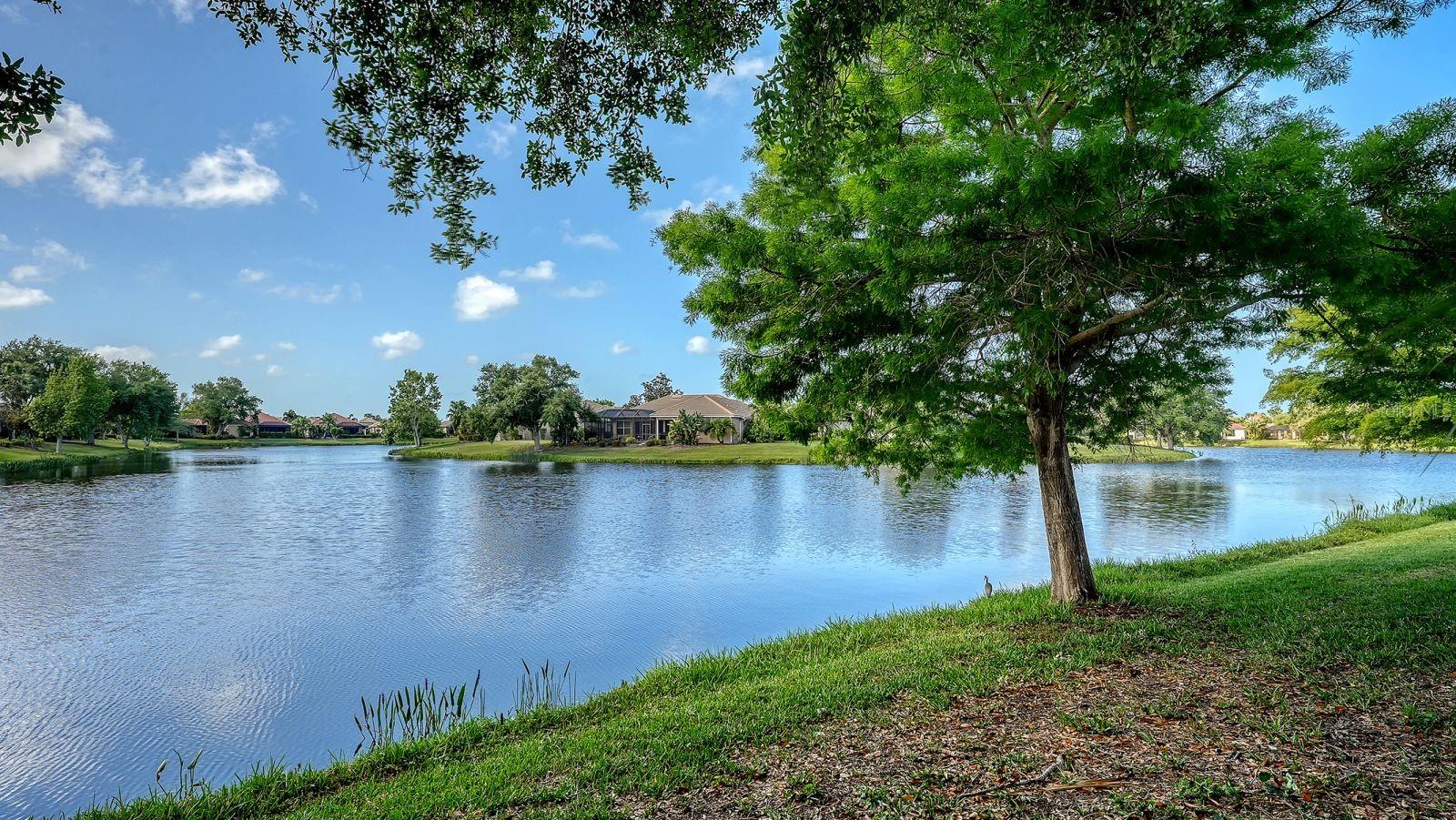 1348 Thornapple Dr, Osprey, FL 34229