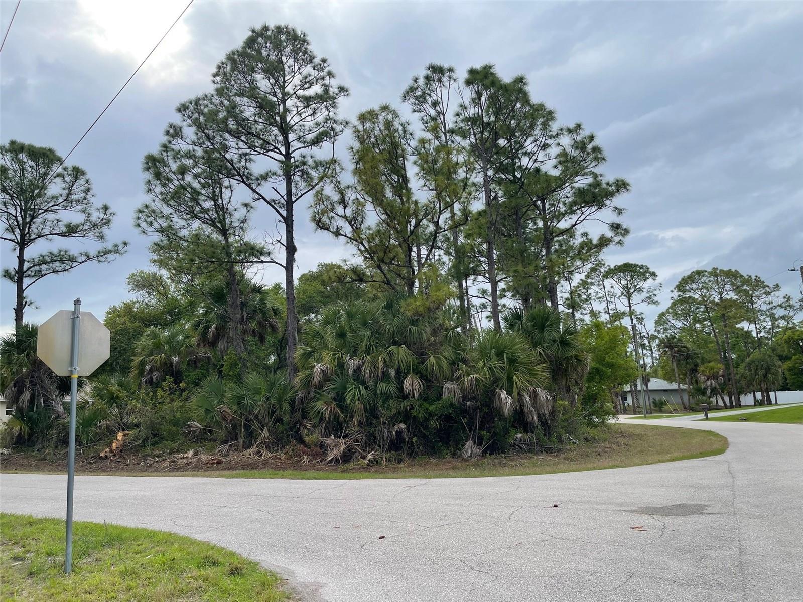 Lot 15 Ananas Rd, North Port, FL 34288